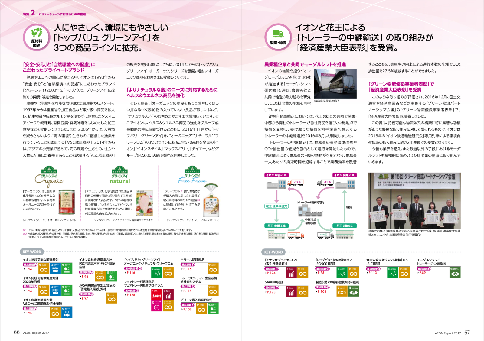 イオン AEON Report 2017